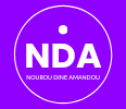 nouroudineamandou.com